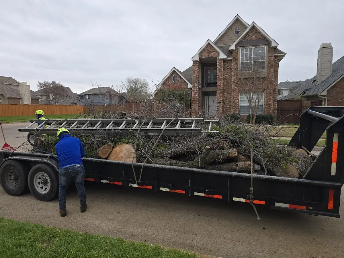 Expert Tree Pest Control with proper safety equipment in Godley